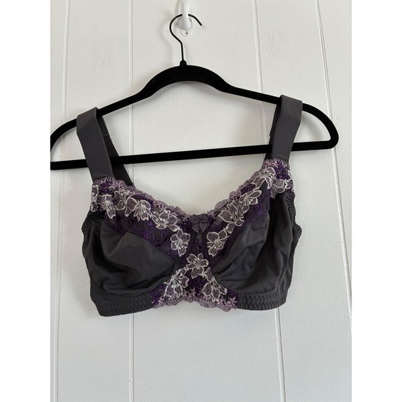 Curve Muse Other - NWT Curve Muse Lingerie Full Coverage Support Bra Grey Purple Lace Trim US 34DDD
